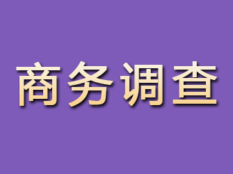 银海商务调查